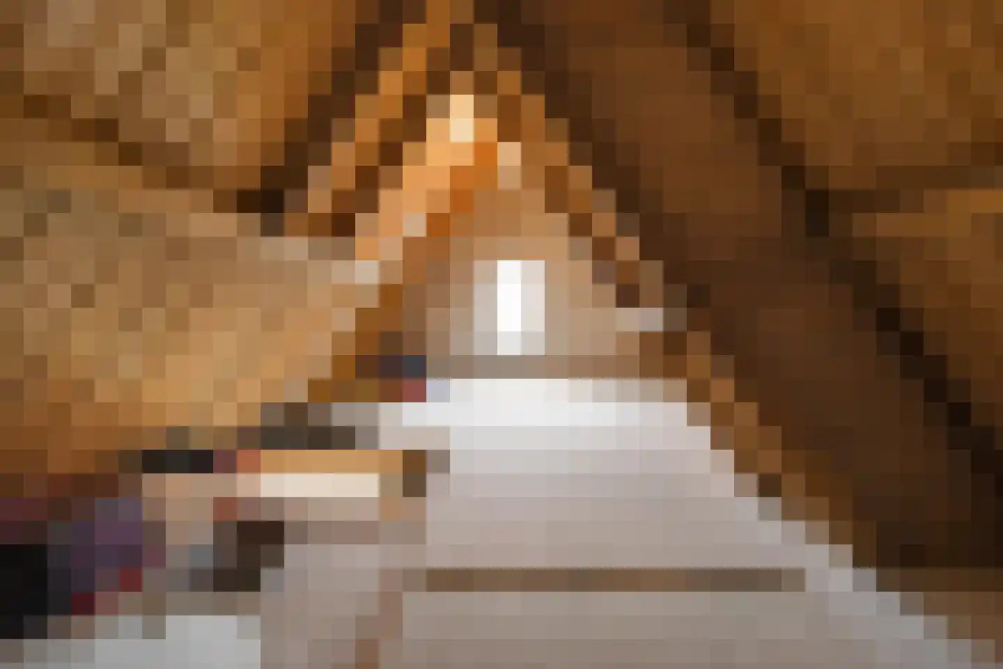 Noorderend 27 Suwâld thumbnail 67
