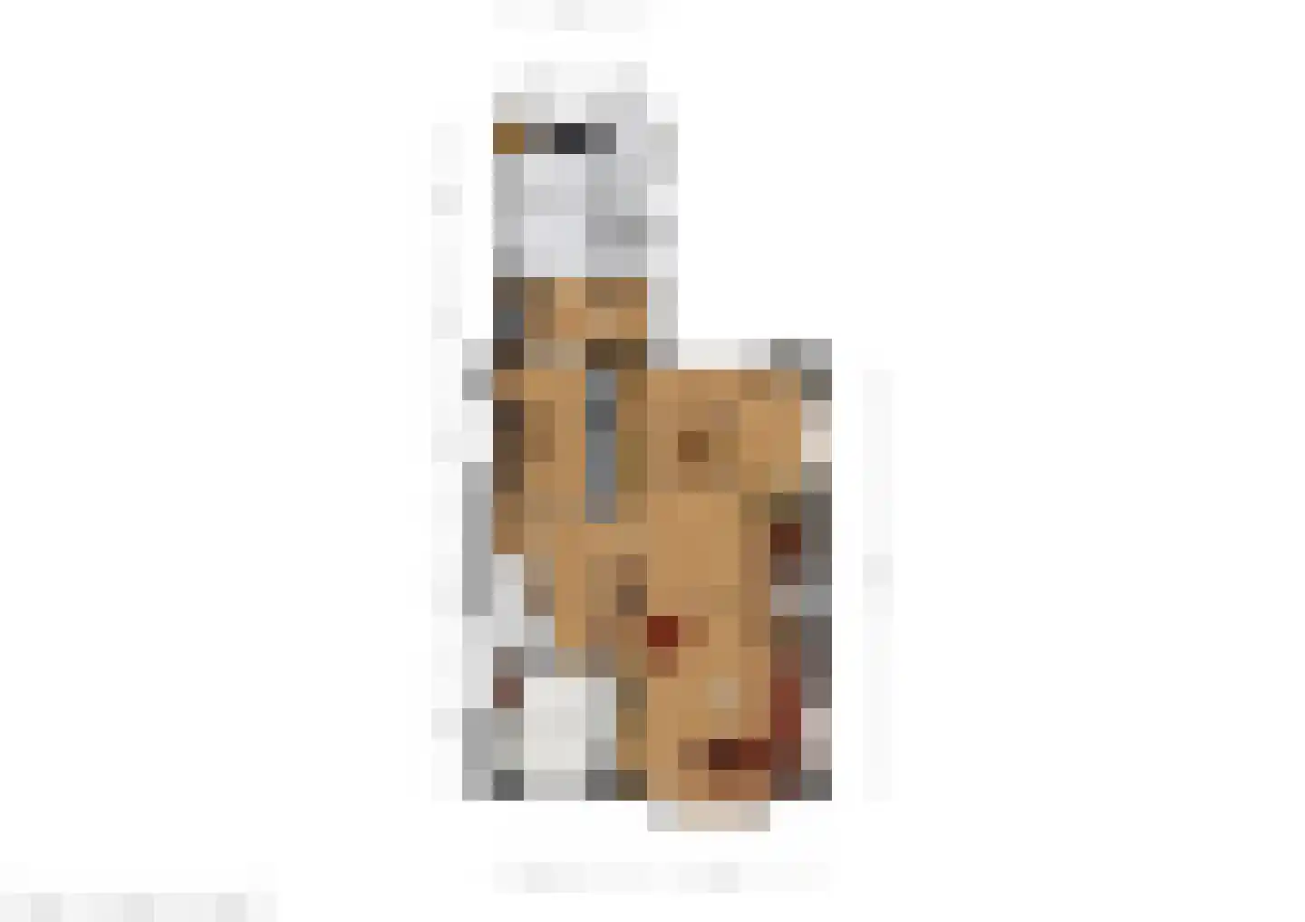 Noorderend 27 Suwâld thumbnail 69