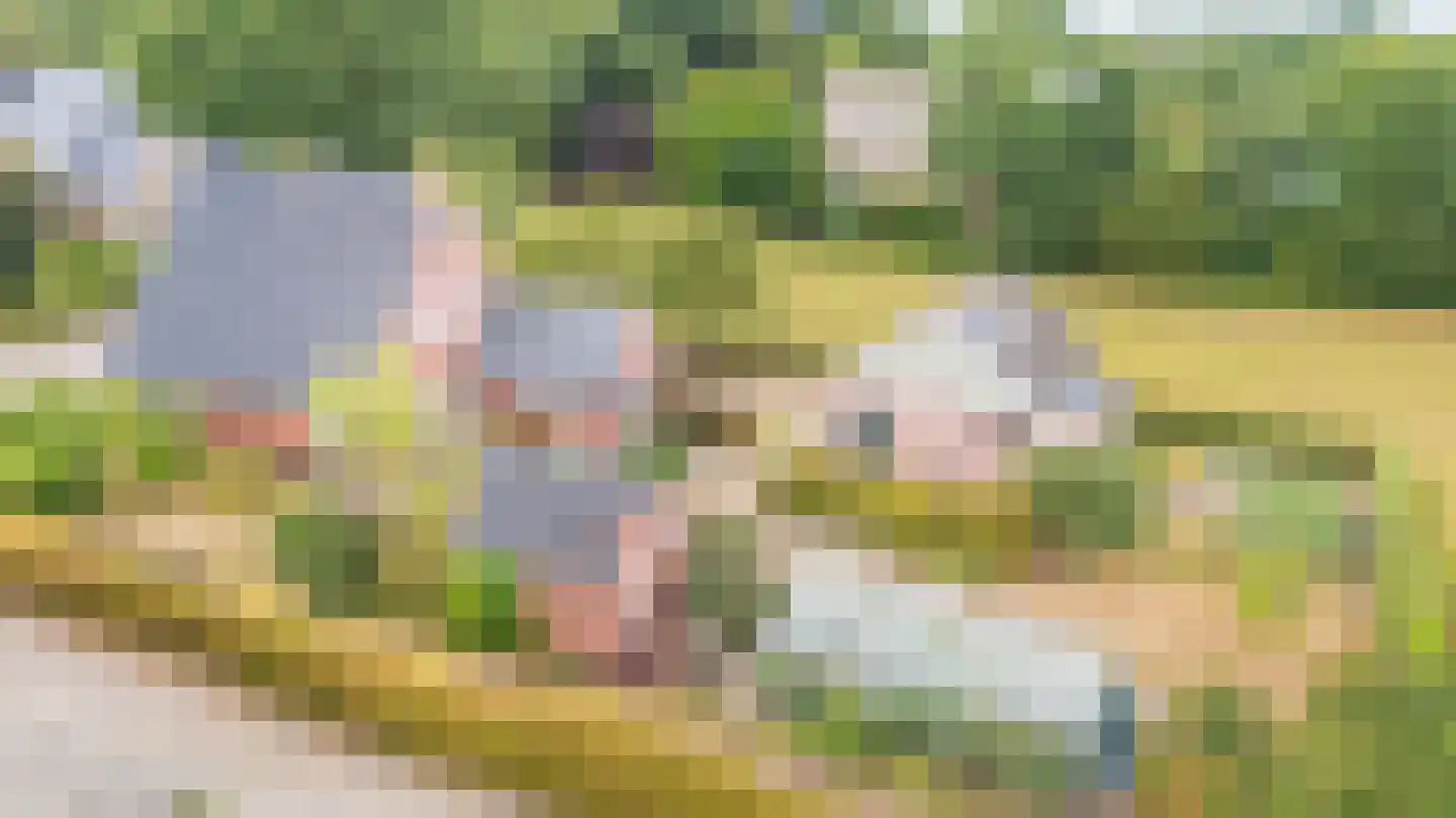 Noorderend 27 Suwâld thumbnail 8