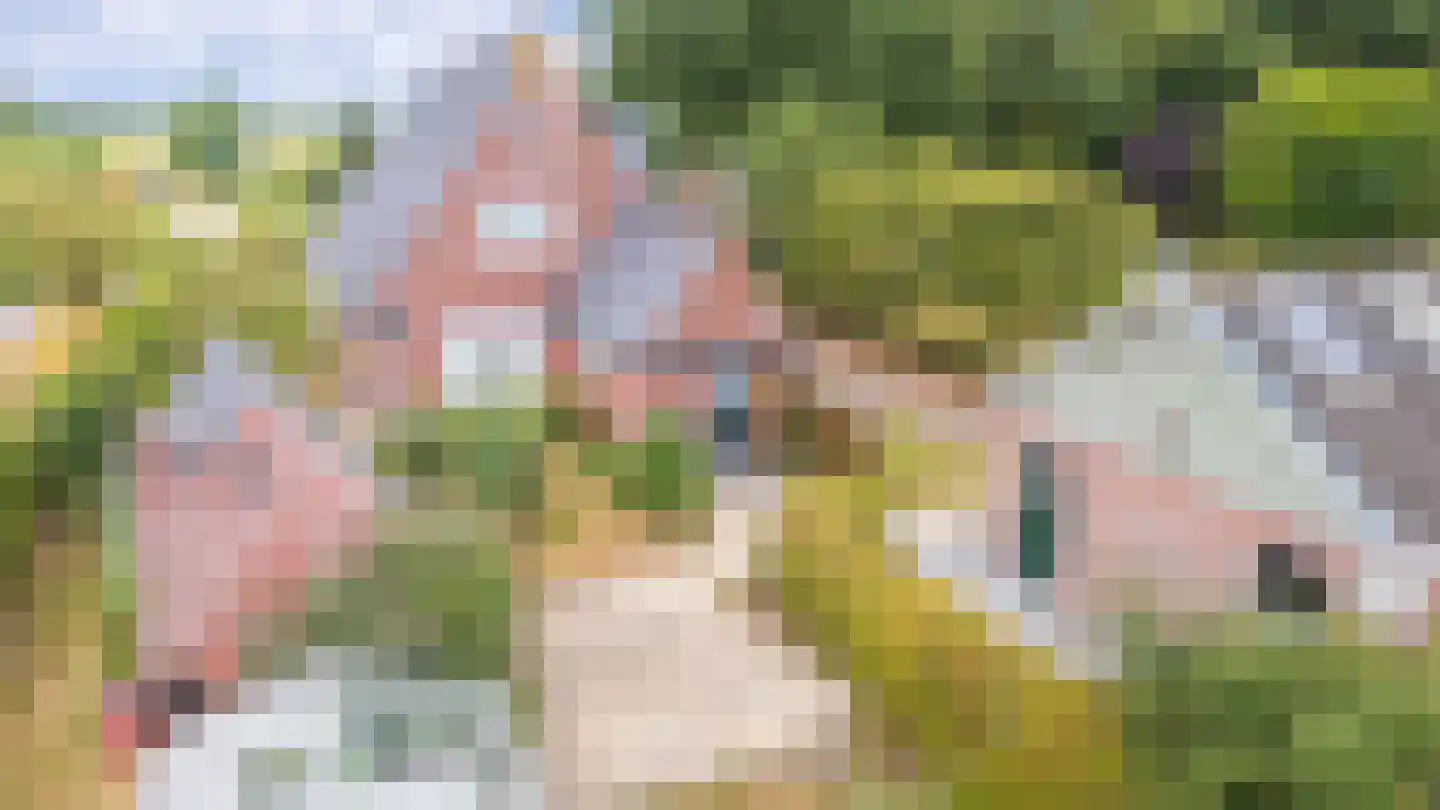 Noorderend 27 Suwâld thumbnail 9