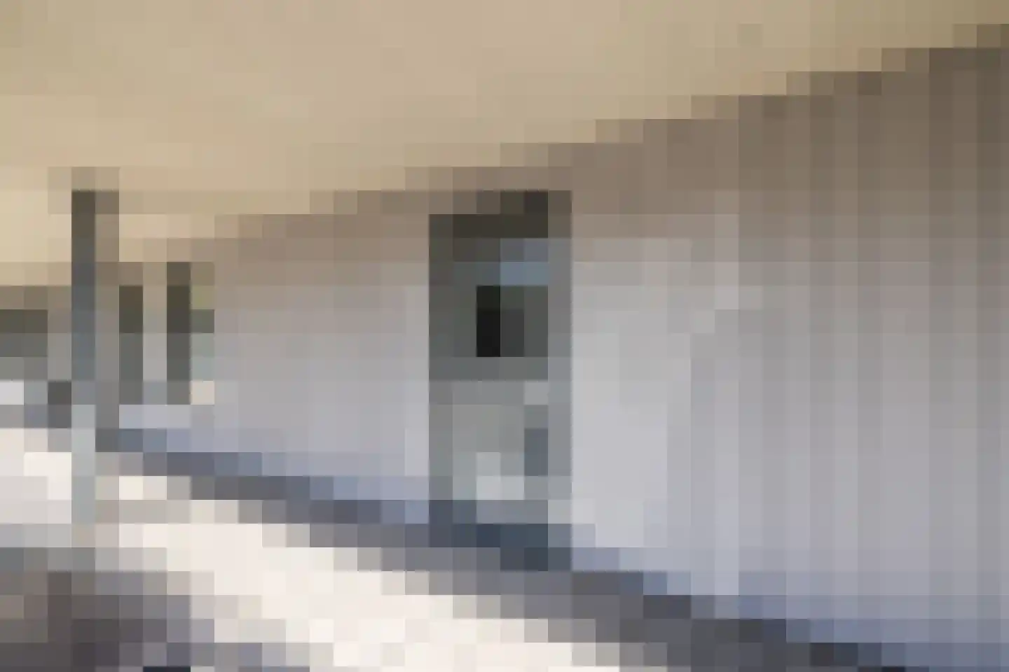 Noorderend 29 Hillegom thumbnail 26