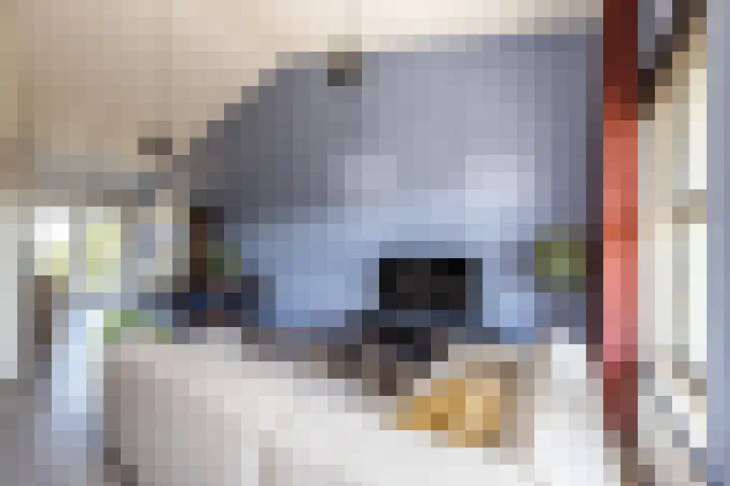 Noorderend 29 Hillegom thumbnail 4