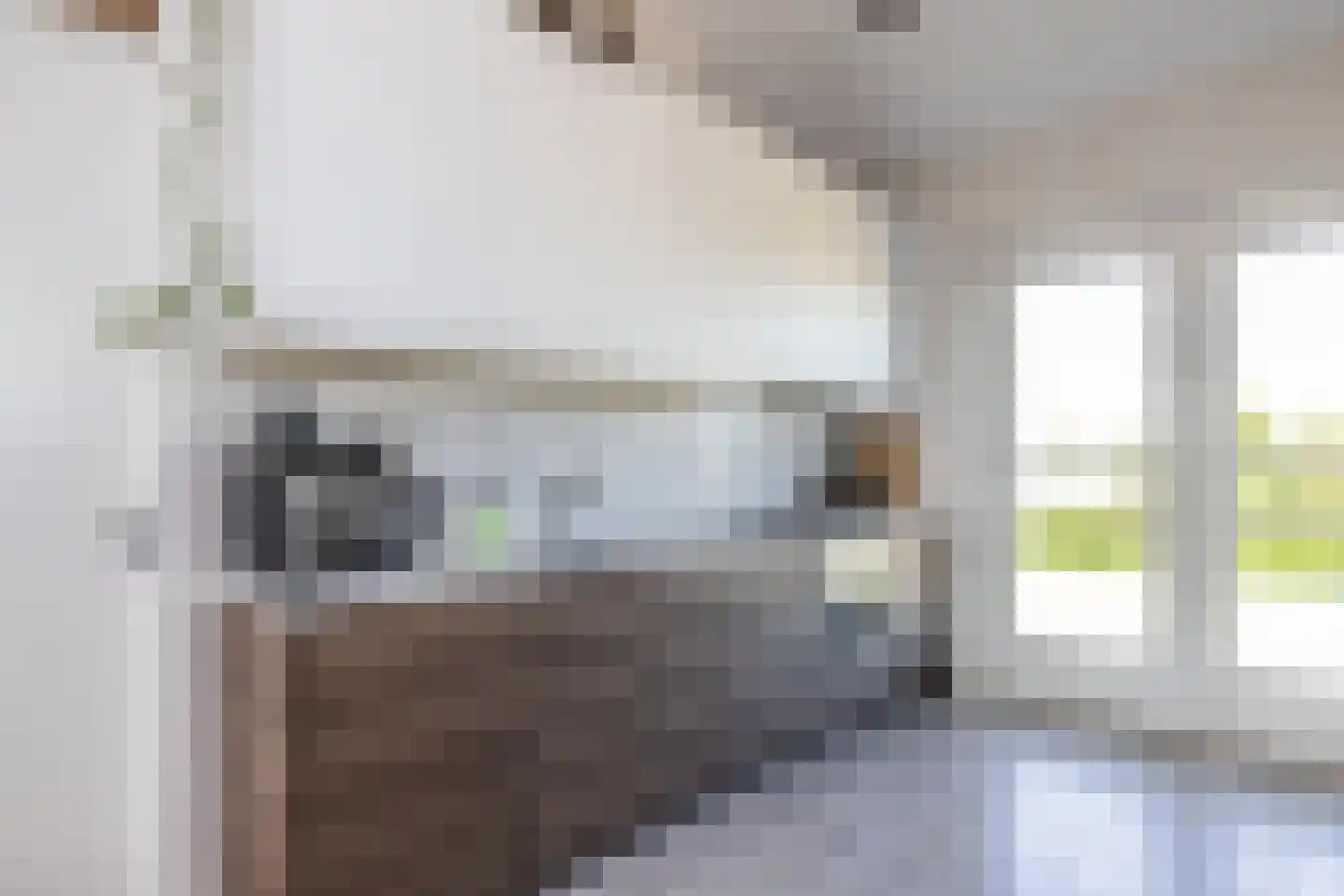Noorderend 29 Hillegom thumbnail 6