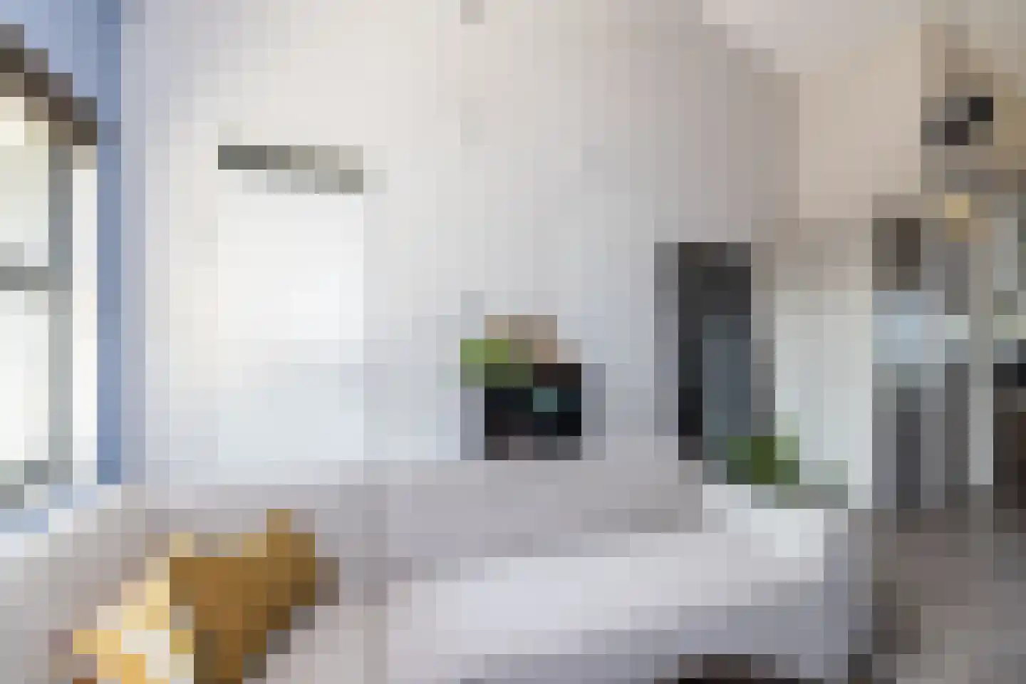 Noorderend 29 Hillegom thumbnail 8