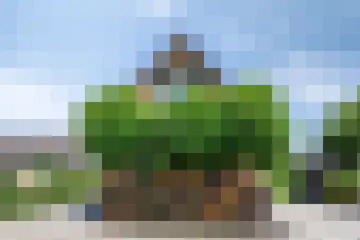 Noorderend 66 Drachten thumbnail 35