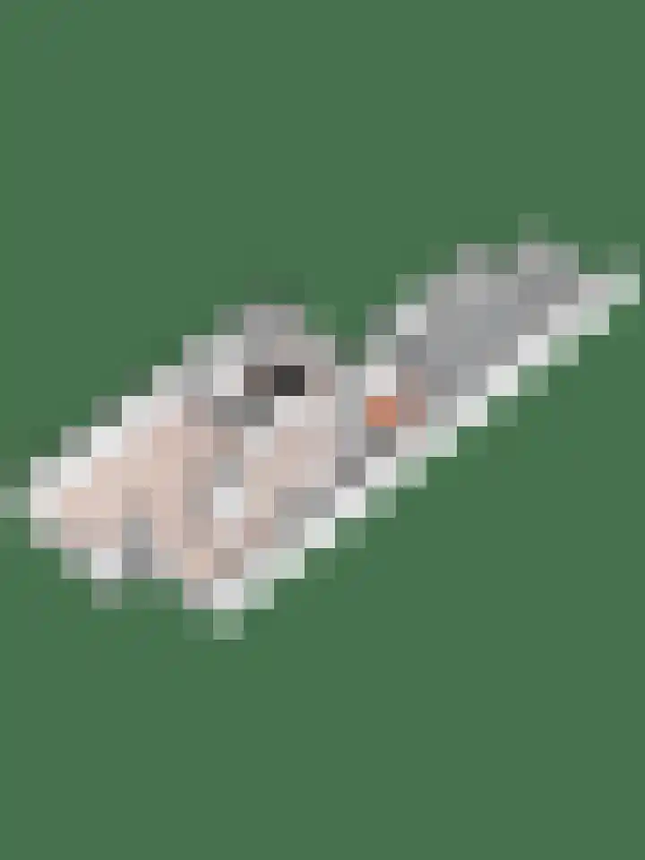 Noorderenk 22 Bathmen thumbnail 34