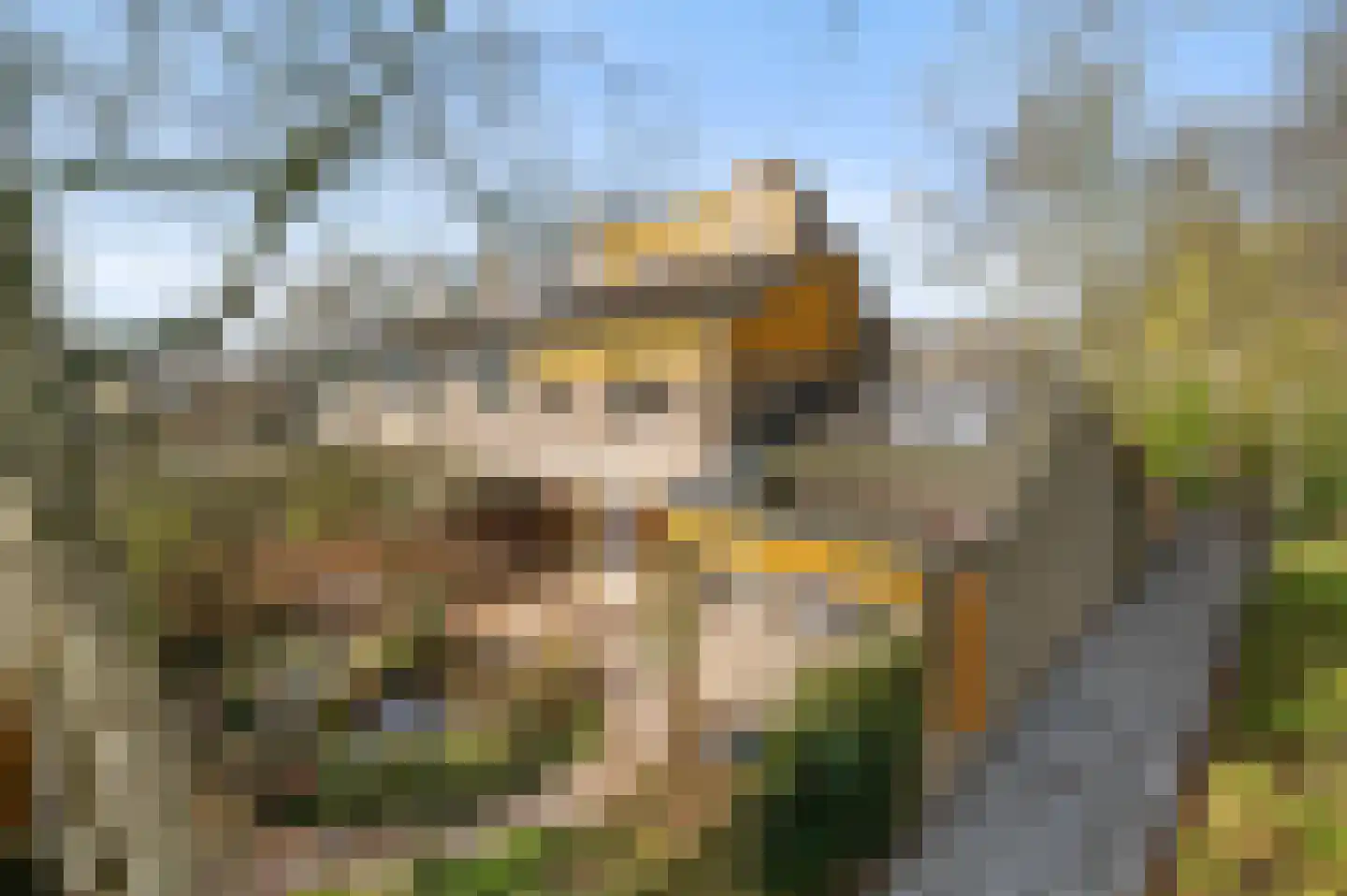 Noorderenk 81 Bathmen