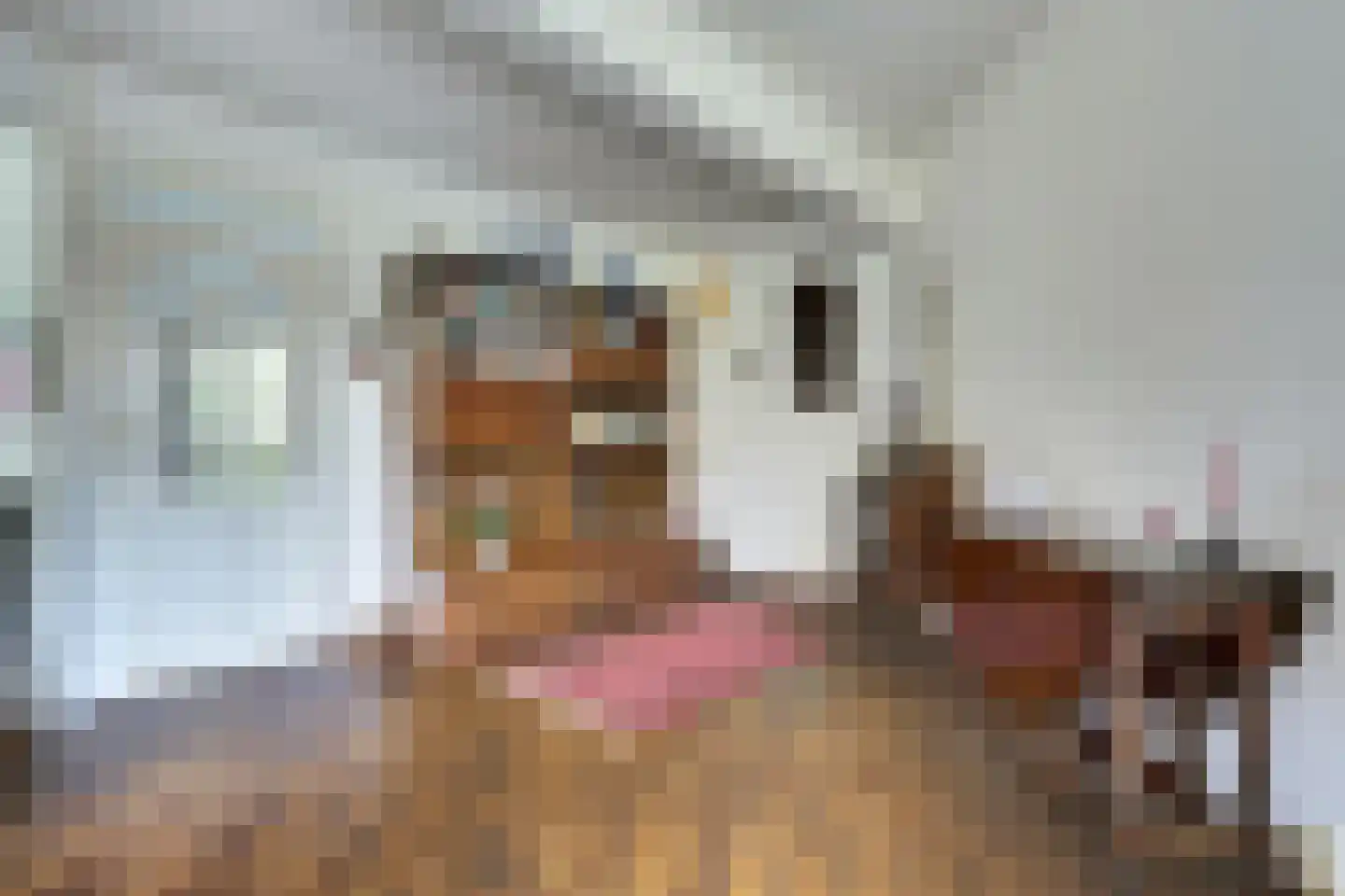 Noordererf 20 Rozenburg thumbnail 13