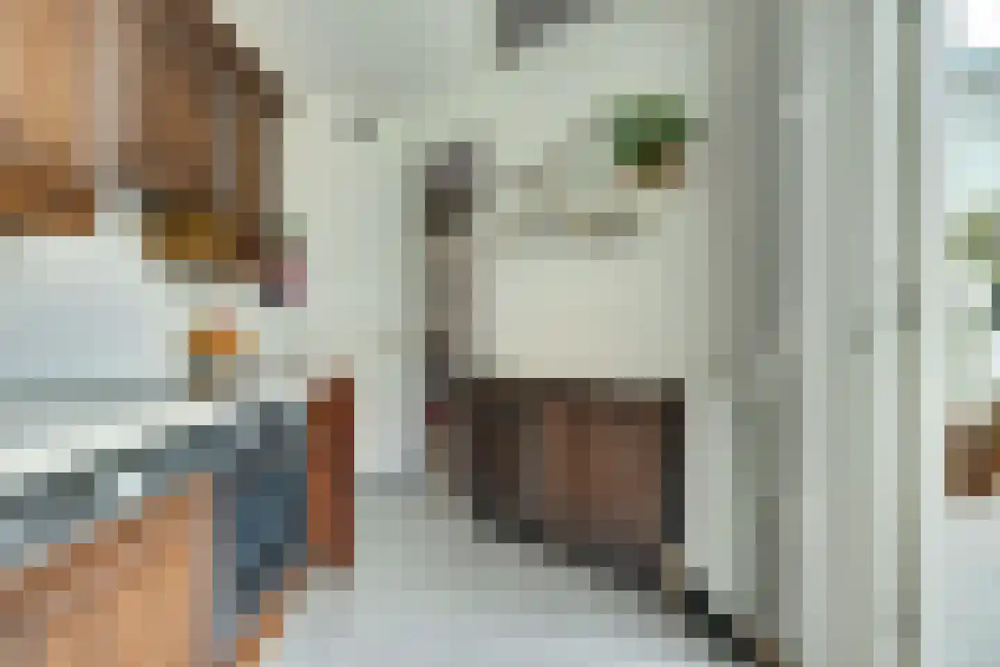 Noordererf 20 Rozenburg thumbnail 15