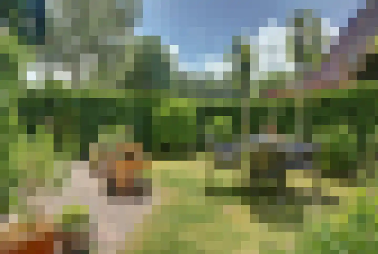 Noordererf 20 Rozenburg thumbnail 20