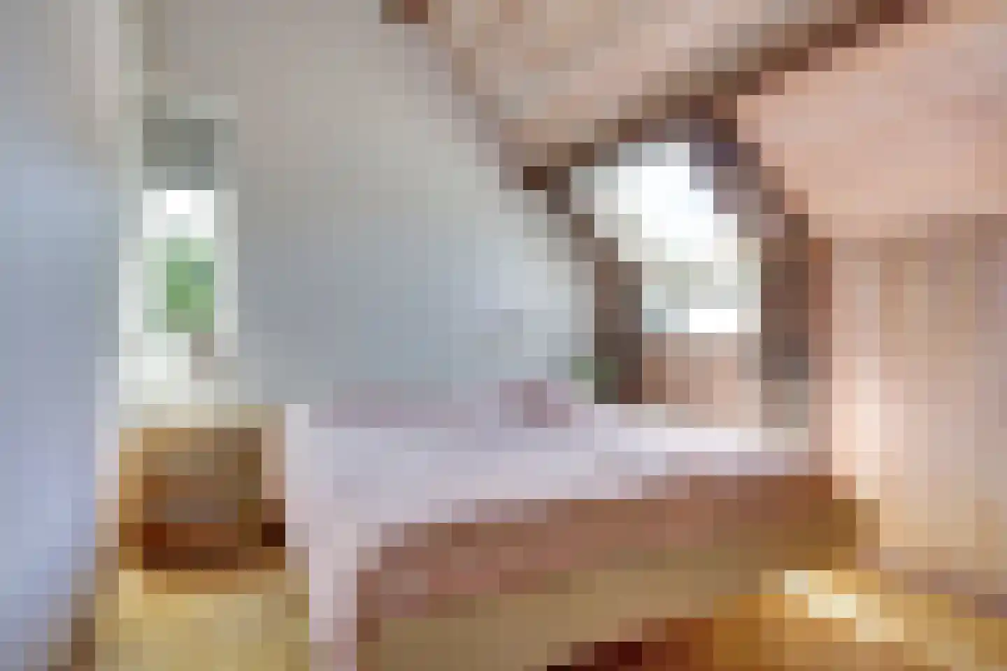 Noordererf 20 Rozenburg thumbnail 30
