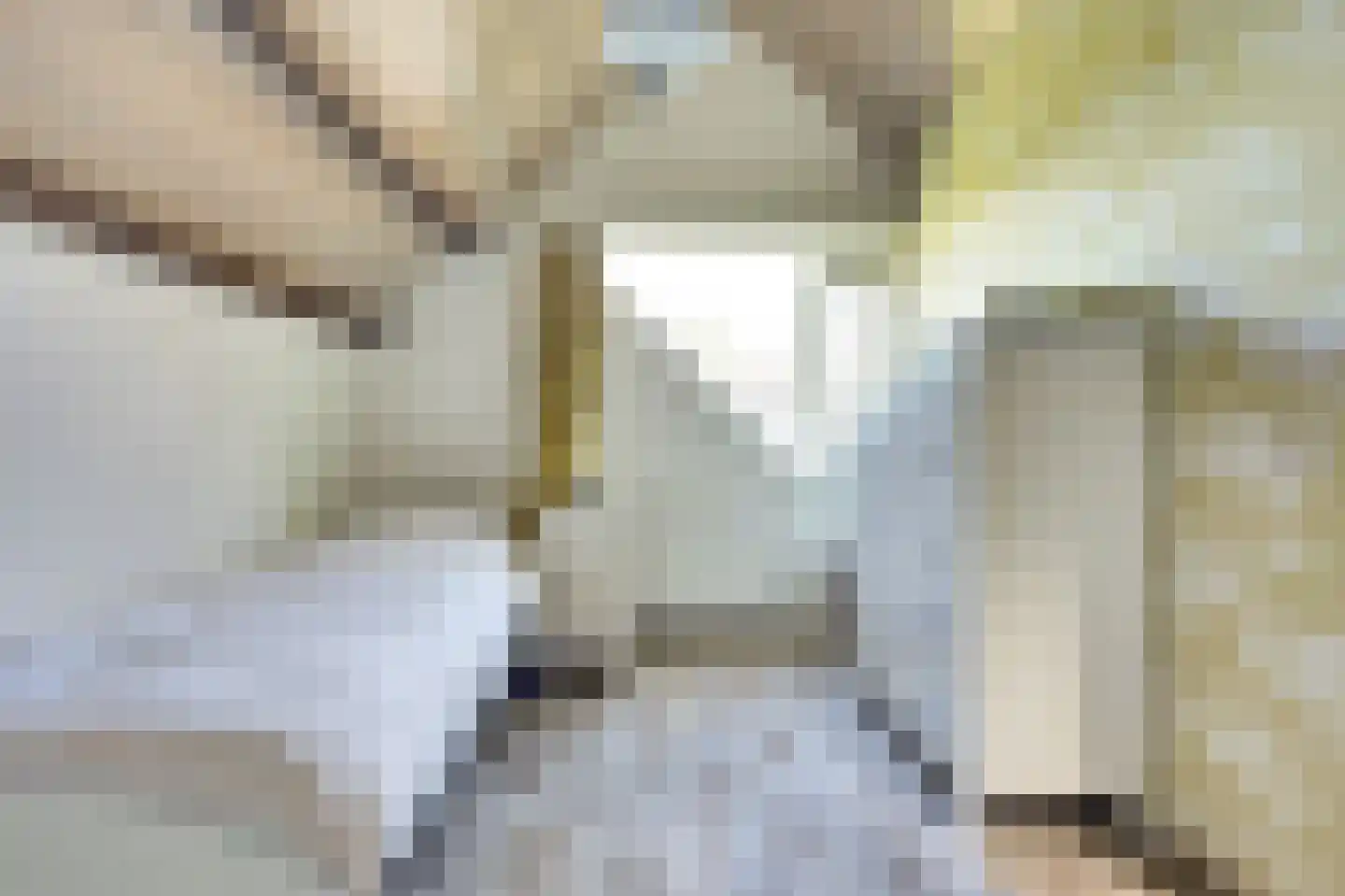 Noordererf 20 Rozenburg thumbnail 32