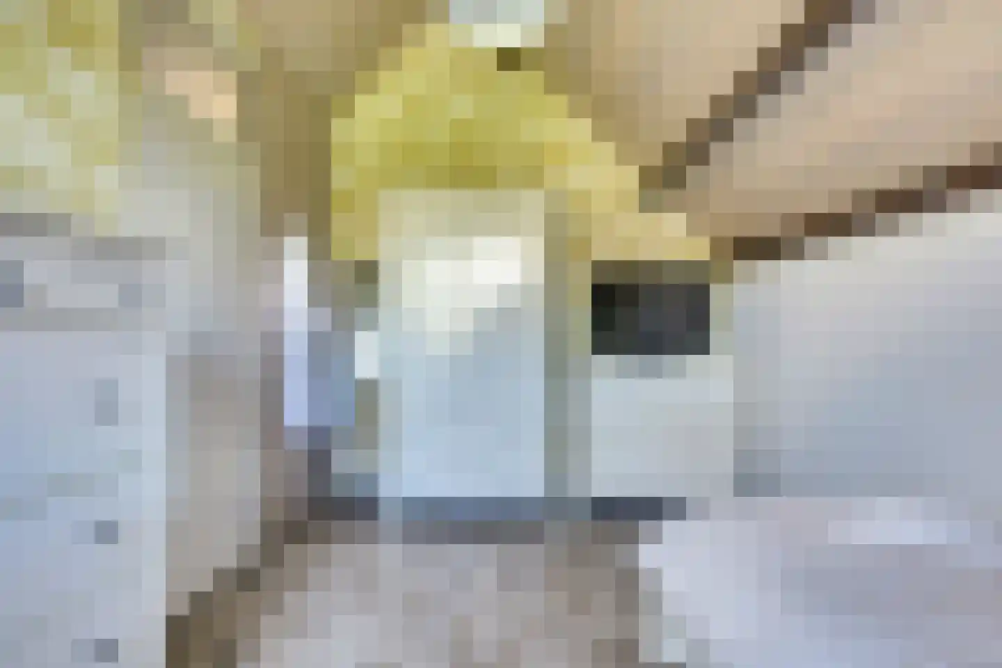 Noordererf 20 Rozenburg thumbnail 33