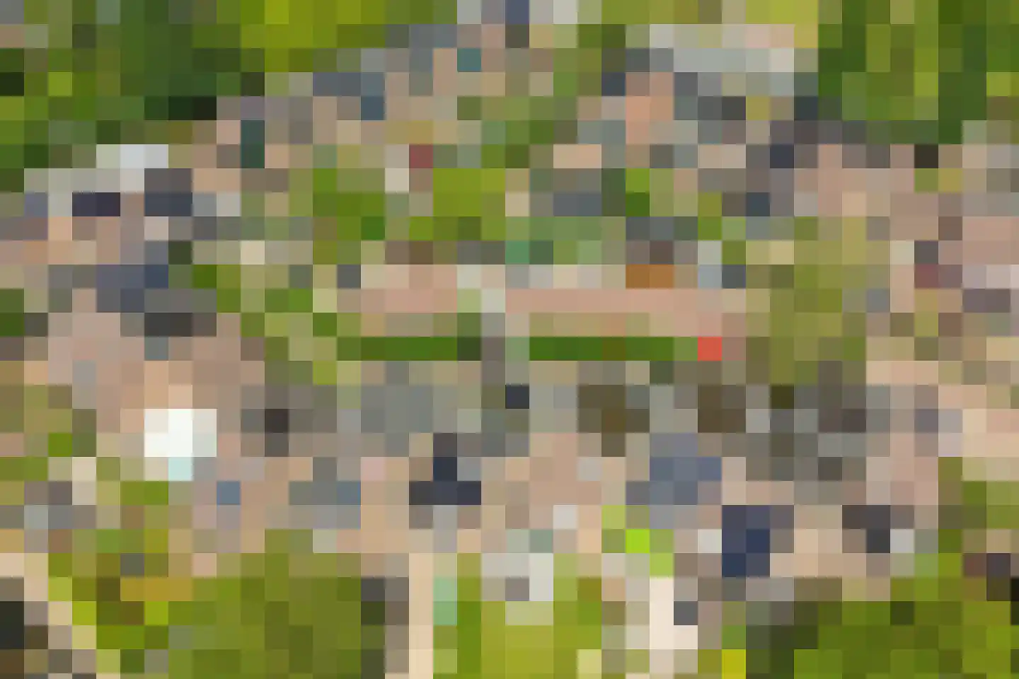 Noordererf 20 Rozenburg thumbnail 47