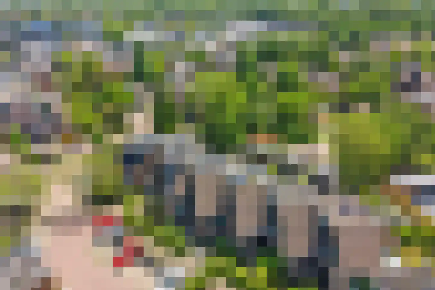 Noordererf 20 Rozenburg thumbnail 5