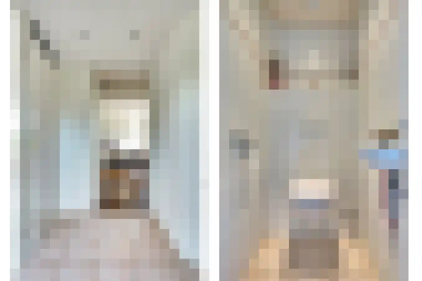 Noordererf 20 Rozenburg thumbnail 8