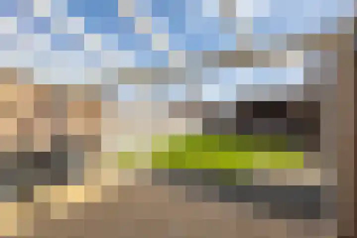 Noordererf 30 Dussen thumbnail 33