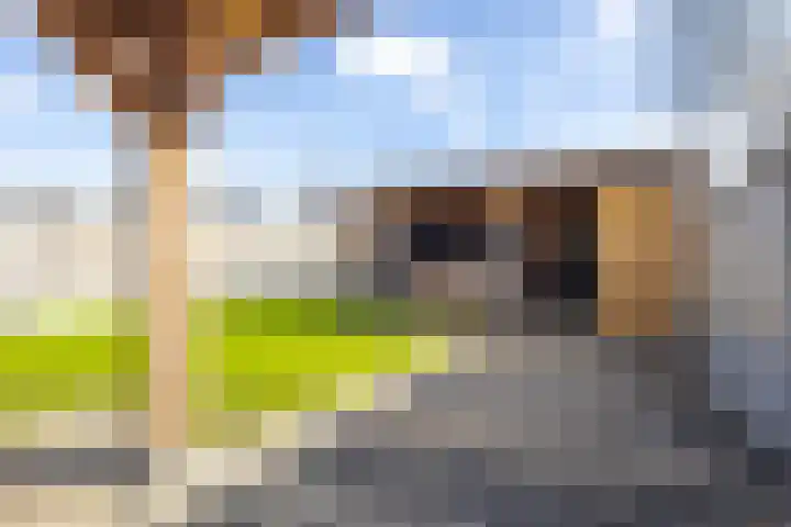 Noordererf 30 Dussen thumbnail 35