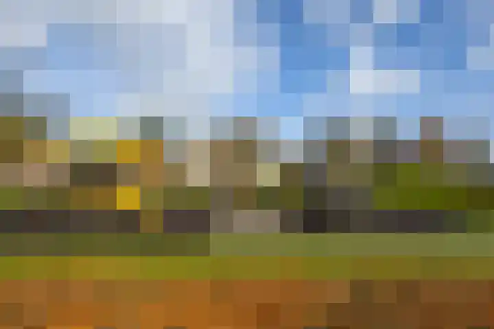 Noordererf 30 Dussen thumbnail 41