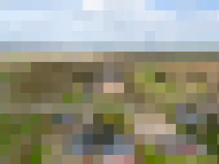 Noordererf 30 Dussen thumbnail 46