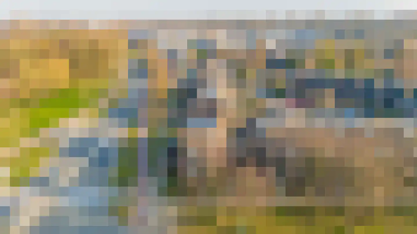 Noordererf 9 Rozenburg thumbnail 38