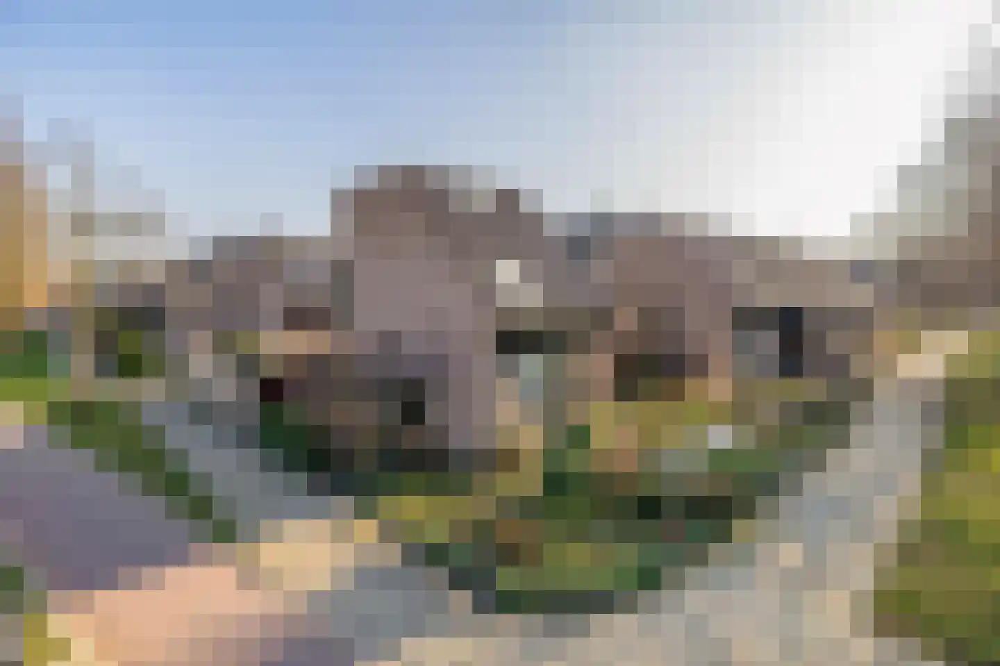 Noordererf 9 Rozenburg thumbnail 39