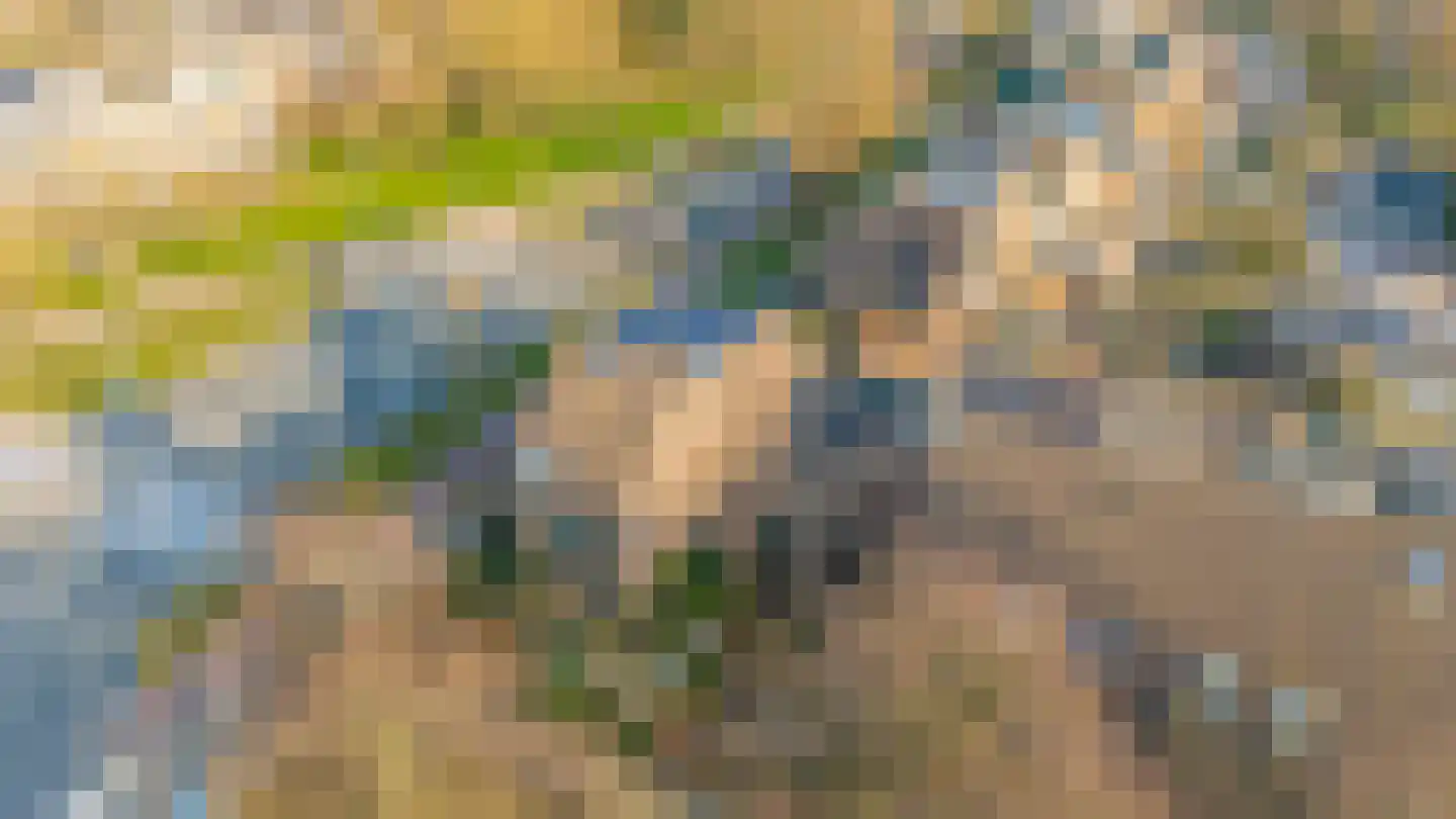 Noordererf 9 Rozenburg thumbnail 40