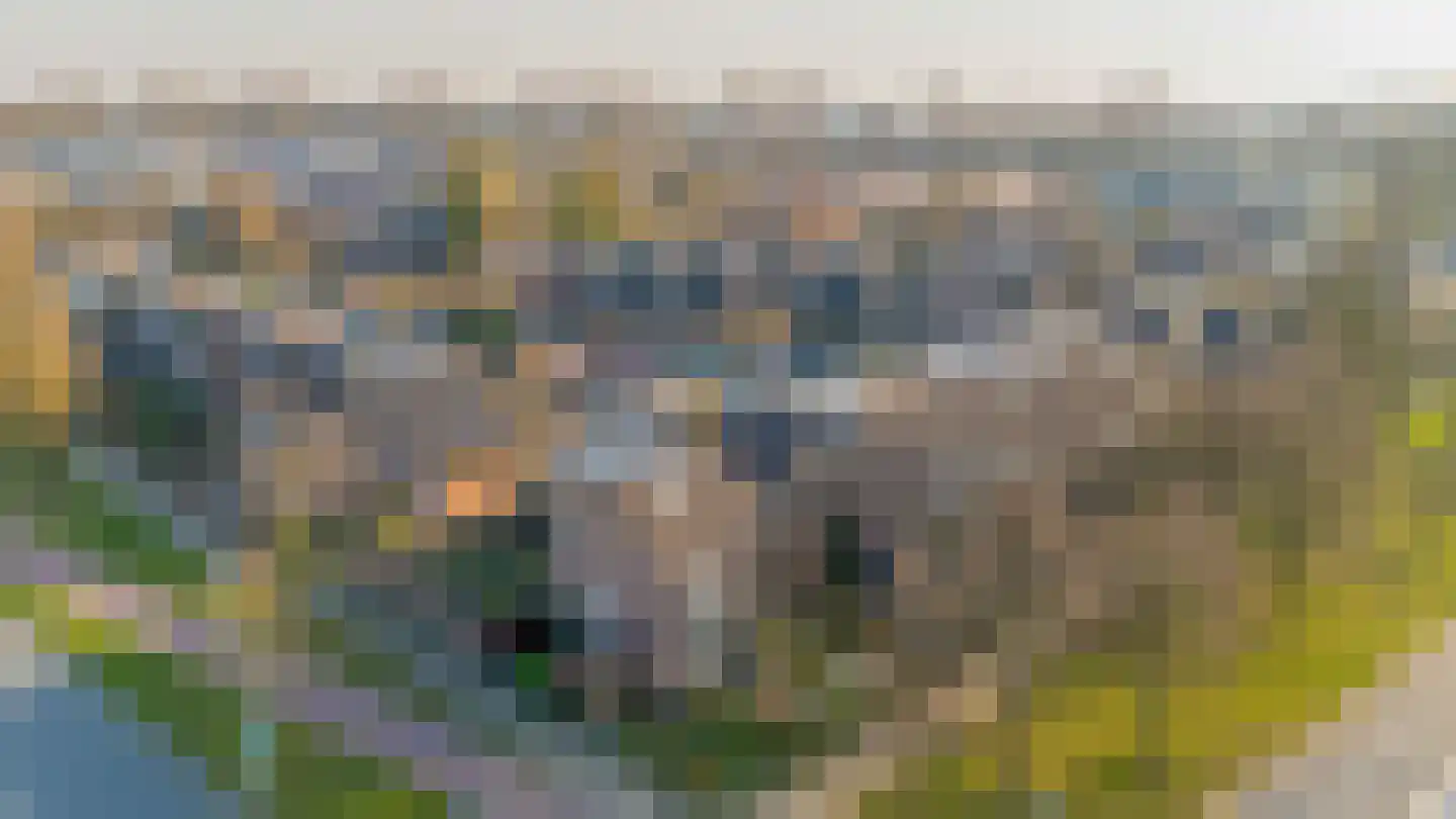 Noordererf 9 Rozenburg thumbnail 5