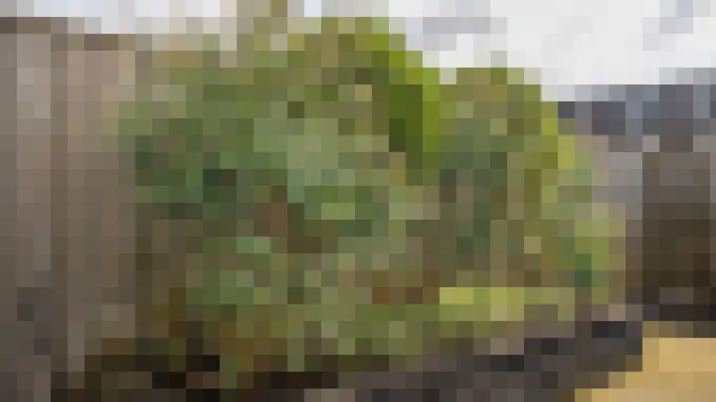 Noorderes 13 Almelo thumbnail 28