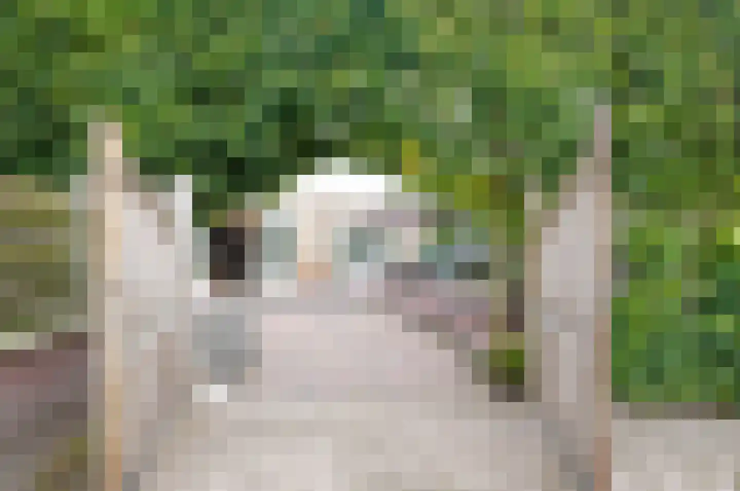 Noorderes 16 Assen thumbnail 32