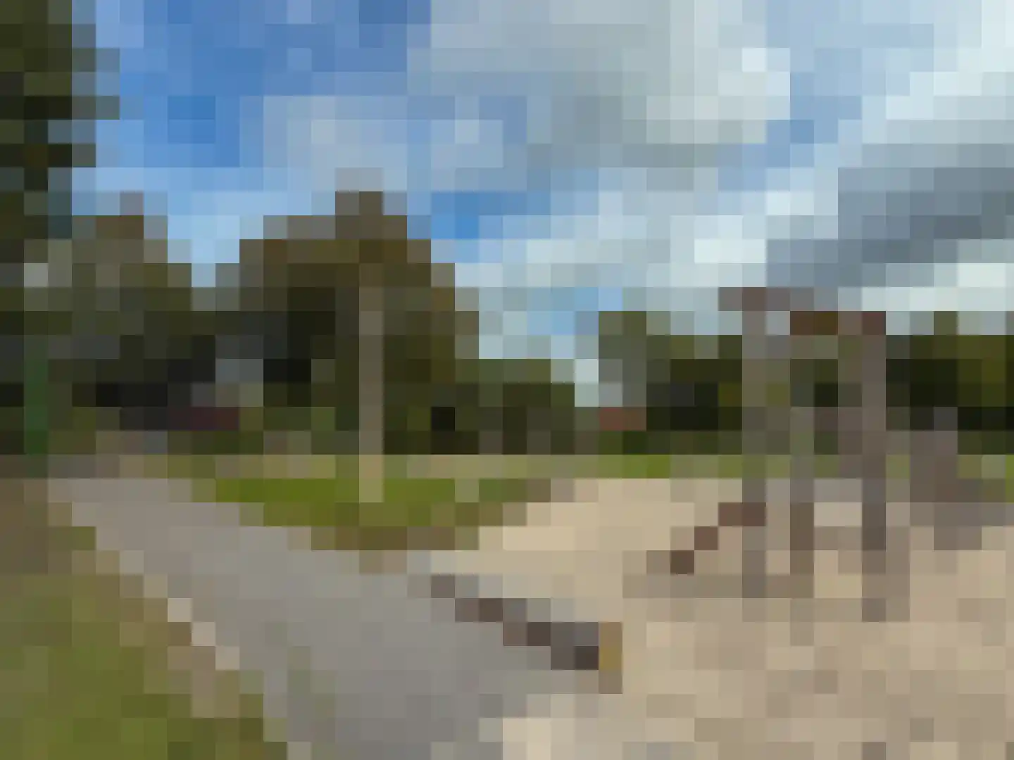 Noorderes 16 Assen thumbnail 36