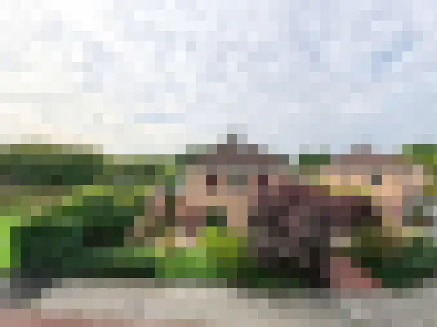 Noorderes 16 Assen thumbnail 38