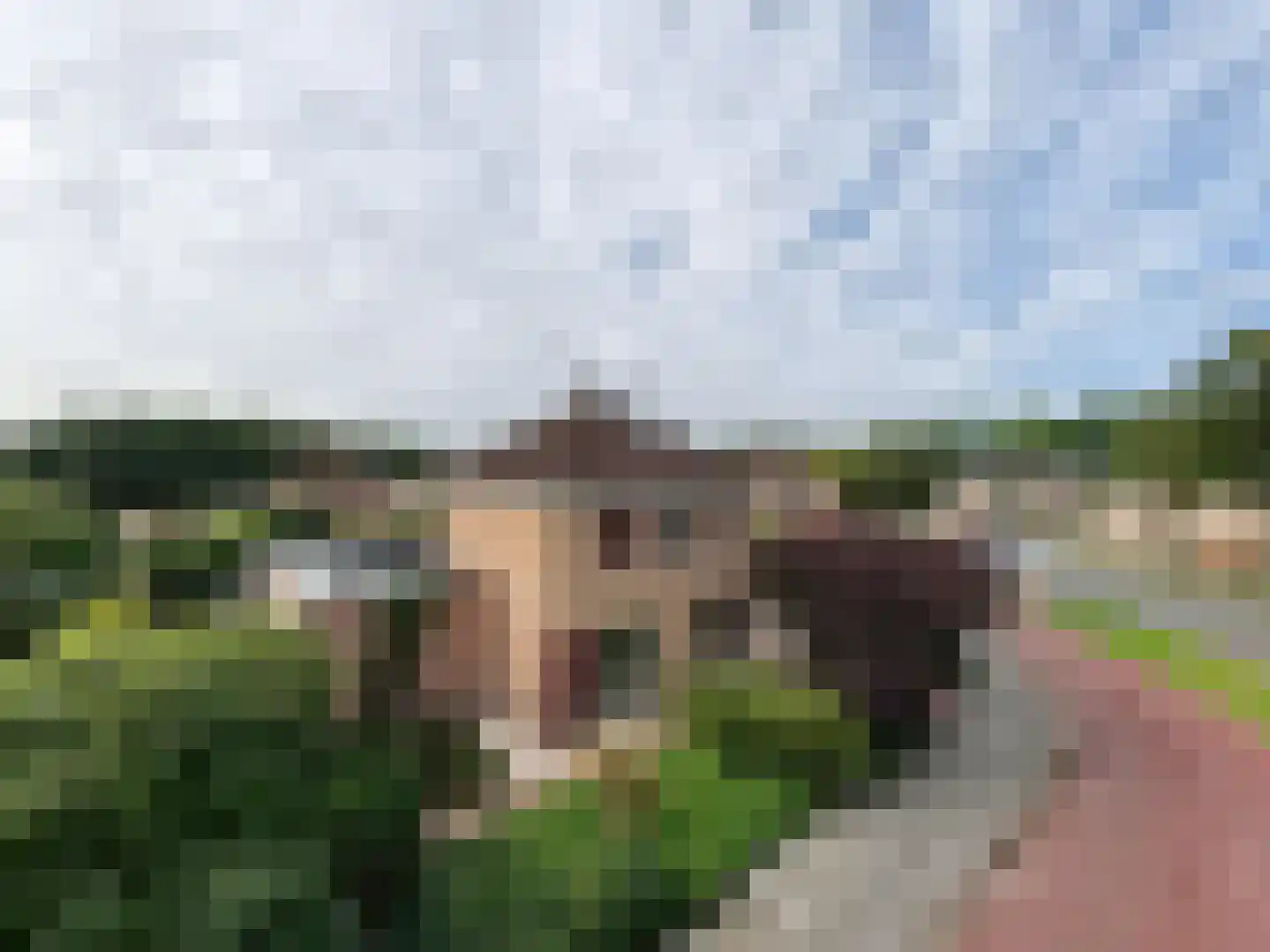 Noorderes 16 Assen thumbnail 39