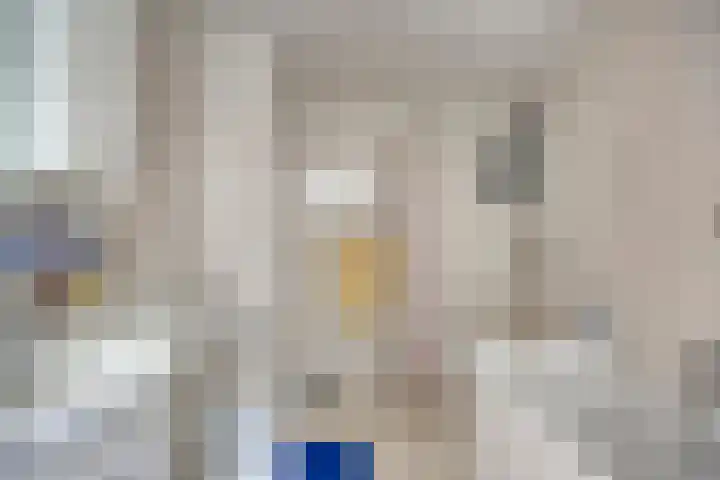 Noorderes 56 Almelo thumbnail 20