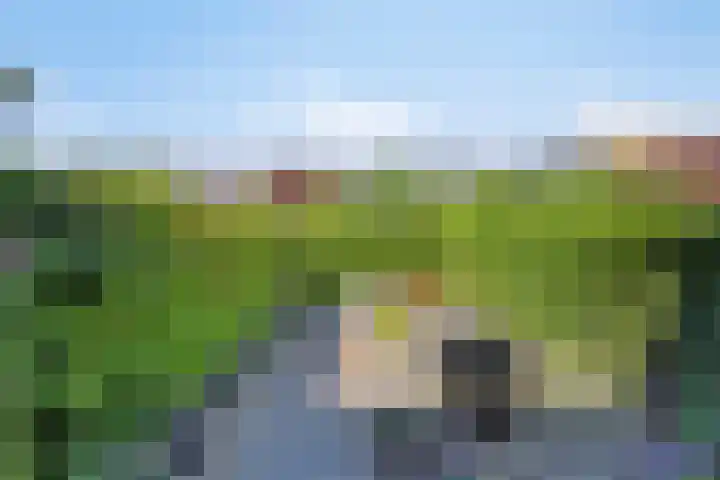 Noorderes 56 Almelo thumbnail 28