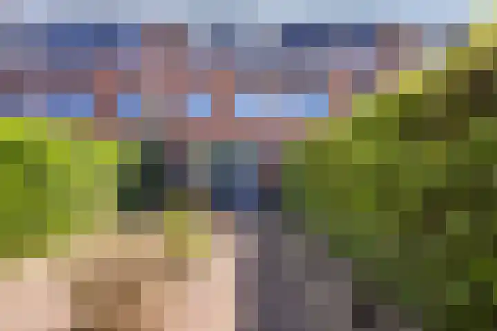 Noorderes 56 Almelo thumbnail 29
