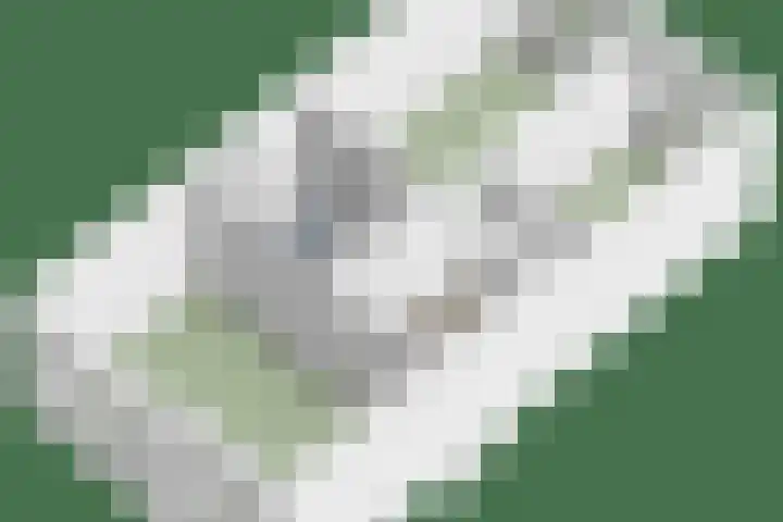 Noorderes 56 Almelo thumbnail 38