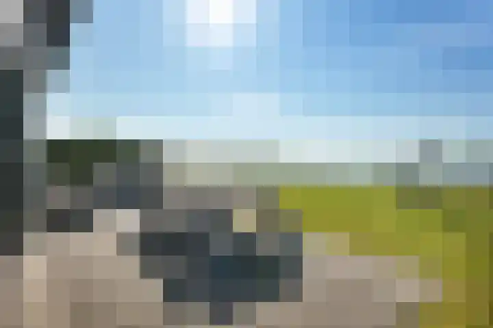 Noordergat 46 Lauwersoog thumbnail 10