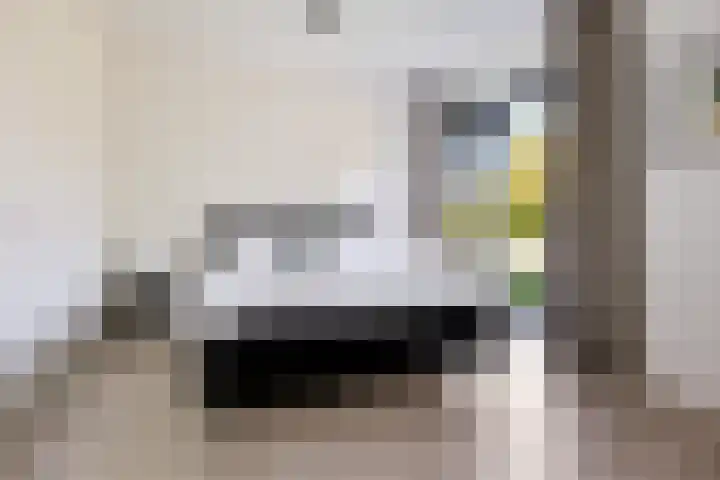 Noordergat 46 Lauwersoog thumbnail 22