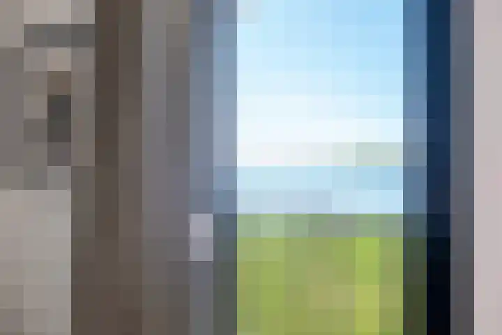 Noordergat 46 Lauwersoog thumbnail 32