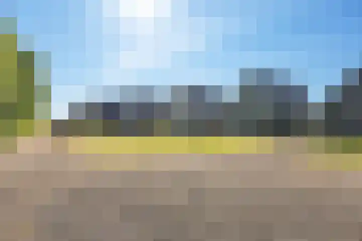 Noordergat 46 Lauwersoog thumbnail 35