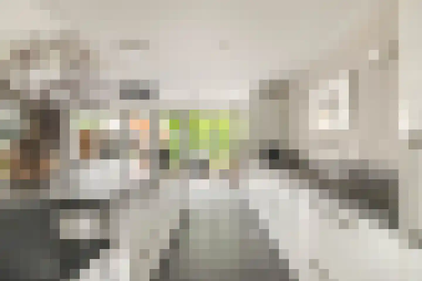 Noordergeeststraat 7 Heiloo thumbnail 10