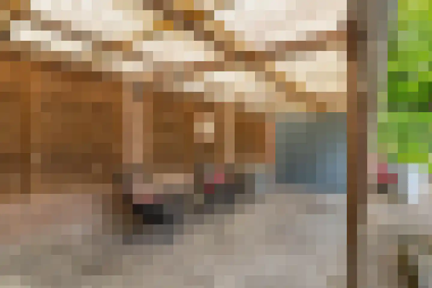 Noordergeeststraat 7 Heiloo thumbnail 46