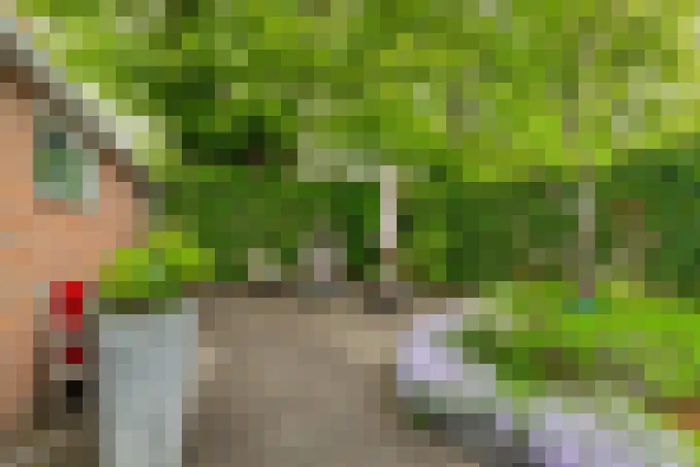 Noordergeeststraat 7 Heiloo thumbnail 49