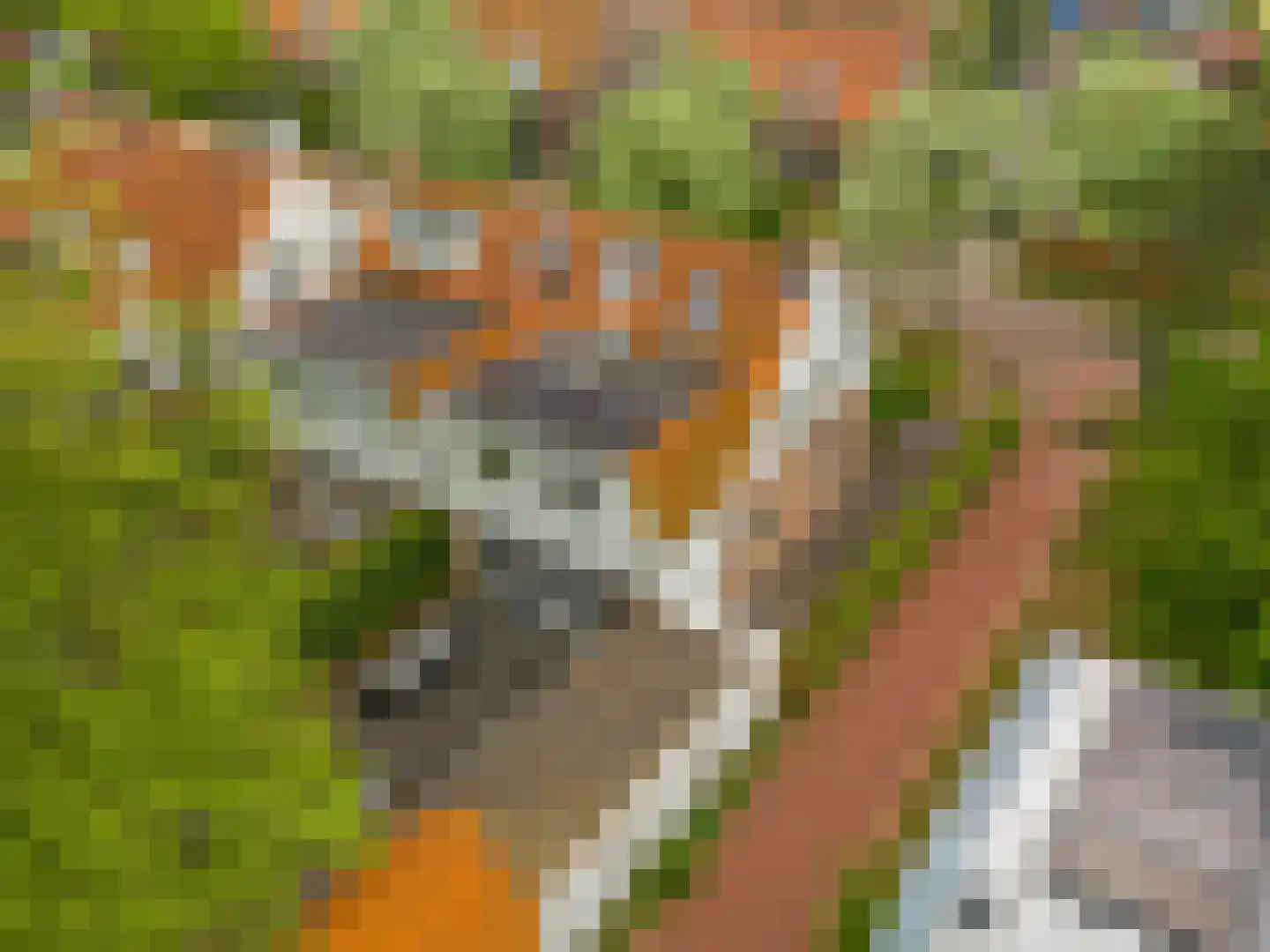 Noordergeeststraat 7 Heiloo thumbnail 50