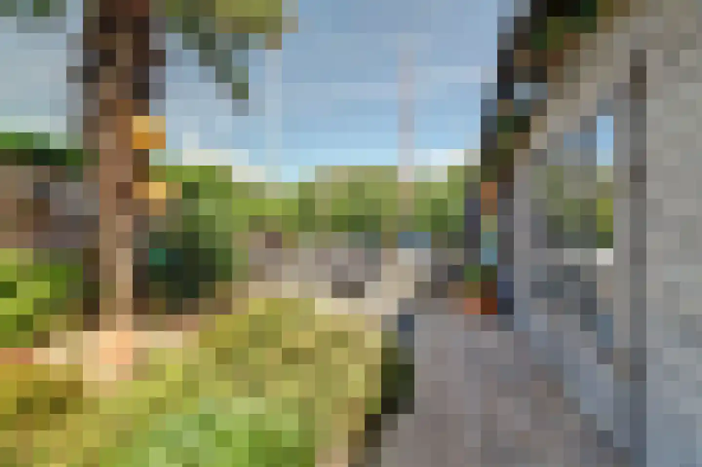 Noordergrachtswal 32 Harlingen thumbnail 22