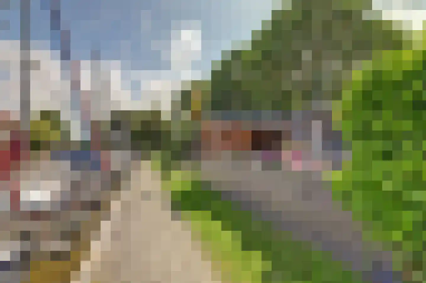 Noordergrachtswal 32 Harlingen thumbnail 25