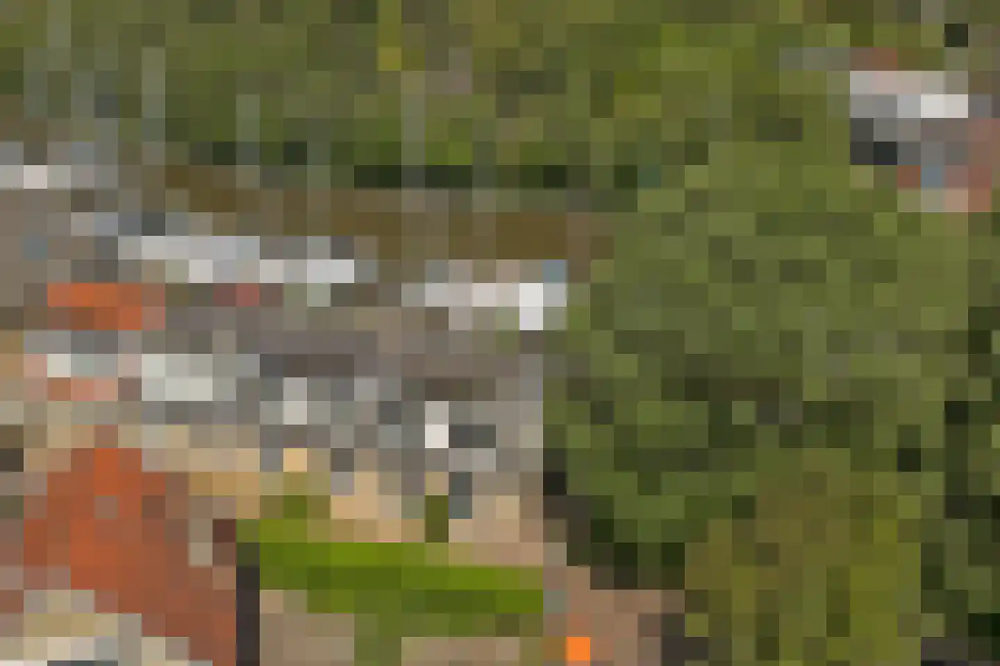 Noordergrachtswal 32 Harlingen thumbnail 37