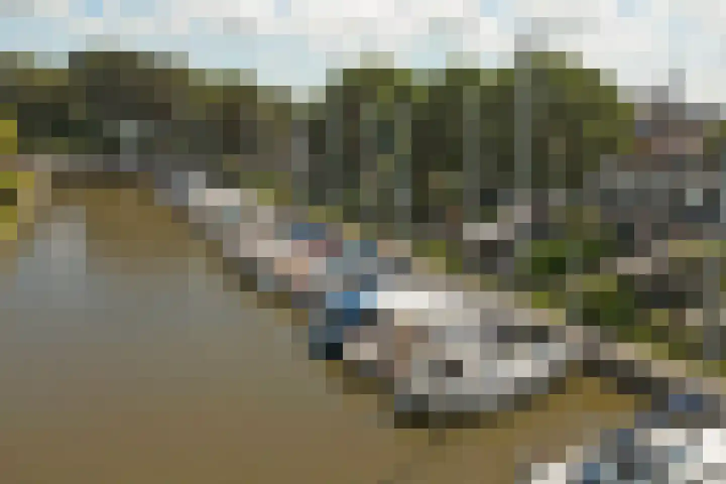 Noordergrachtswal 32 Harlingen thumbnail 38