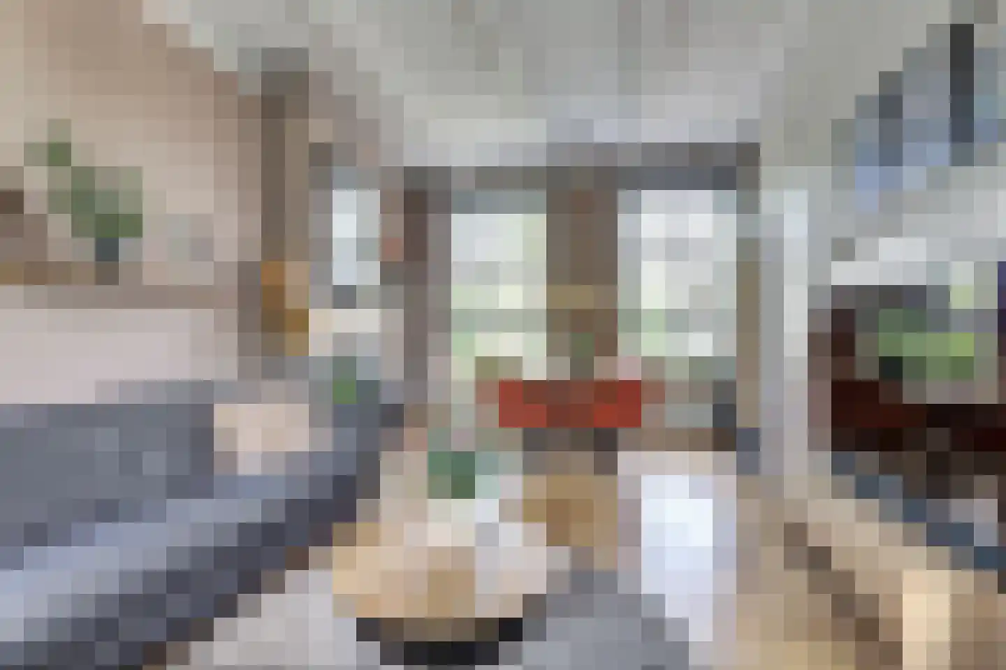 Noordergrachtswal 32 Harlingen thumbnail 4